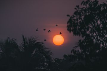 coveImg