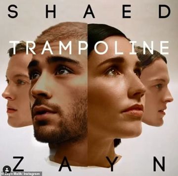 Trampoline-cover