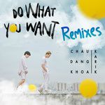 Do What You Want(QMX Mix)-cover
