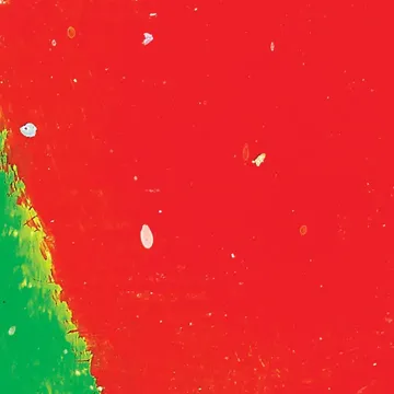 Every Other Freckle-cover