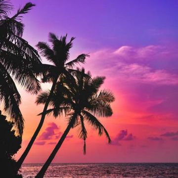 Lost in the Summer (Prod.rossgossage)-cover