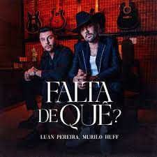 FALTA DE QUÊ?-cover