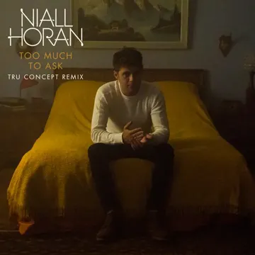 Too Much To Ask (TRU Concept Remix)-cover