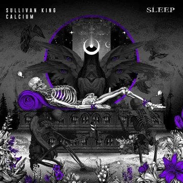 Sleep (with Calcium)-cover