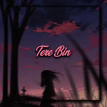 Tere Bin-cover