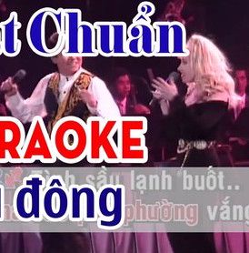Sầu Đông-cover