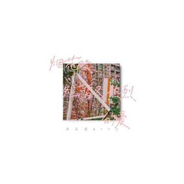 煙花般短暫又熱烈的愛-cover