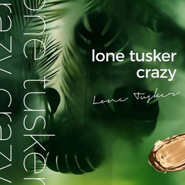 Crazy-cover