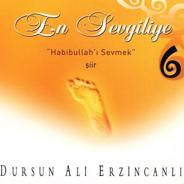 Gelseydin