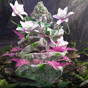 Vinflow-cover