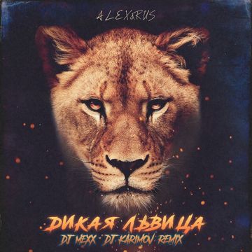 Дикая львица - DJ Mexx & DJ Karimov Remix-cover
