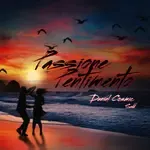 Passione Pentimento-cover