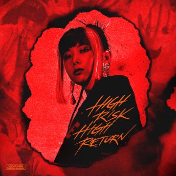 HIGH RISK HIGH RETURN-cover