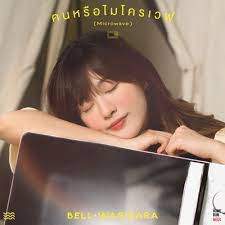 คนหรือไมโครเวฟ -cover