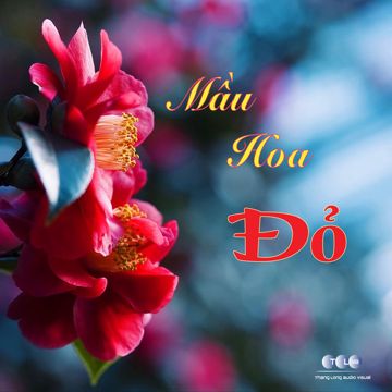 Màu Hoa Đỏ