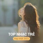 Tủi Duyên-cover
