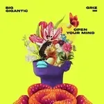 Open Your Mind-cover