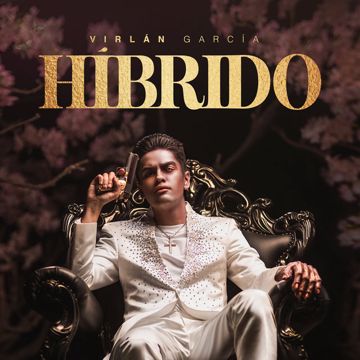 Híbrido-cover