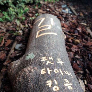 길 (Instrumental)-cover