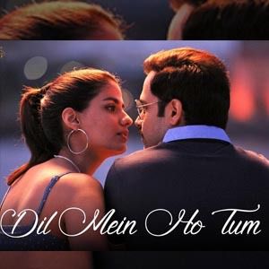 Dil Mein Ho Tum-cover