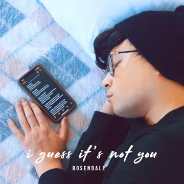 I Guess It's Not You-cover