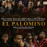 El Palomino(Puro Zacatecas y Nuestros Amigos De Mazatlán Sinaloa)