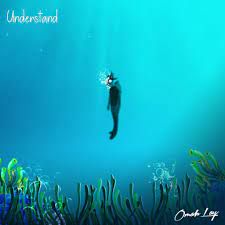 Understand-cover
