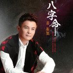 八字命-cover