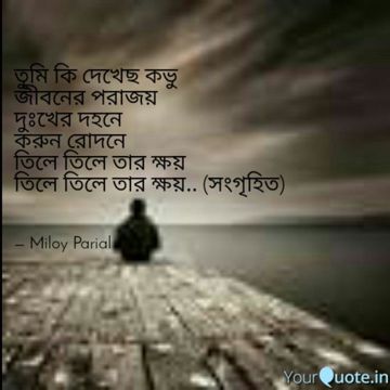 তুমি কি দেখেছ কভু জীবনের পরাজয়-cover