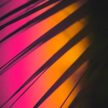 coveImg