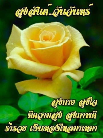 vim lub siab ib txwm muaj koj