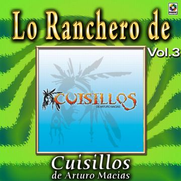 Palomas Que Andan Volando-cover