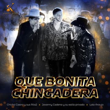Que Bonita Chingadera - En Vivo-cover
