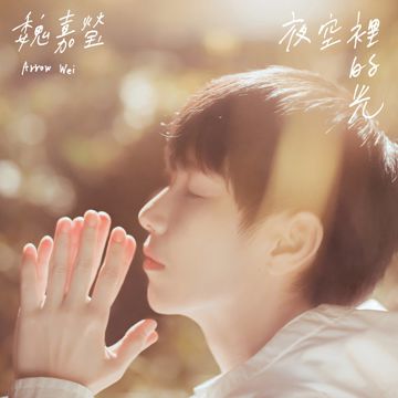 年轻是一种罪-cover