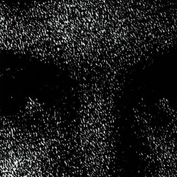 grouper-poison-tree-cover-image