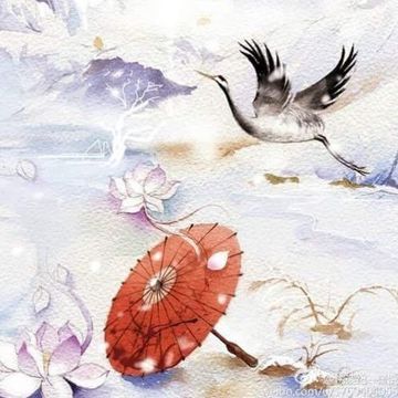 Bất Lão Mộng - 不老梦 (Pinyin)-cover