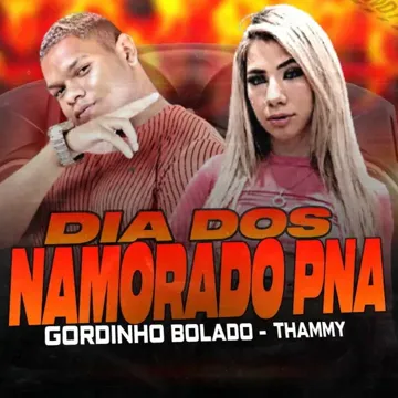 Dia dos Namorado P.N.A (feat. Thammy)-cover