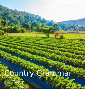 Country Grammar-cover