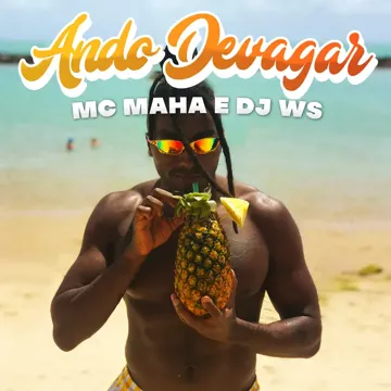 Ando Devagar-cover