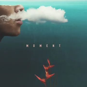 Moment-cover