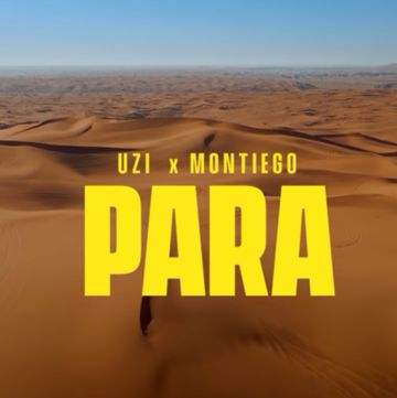 PARA-cover