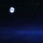 落在生命里的光