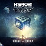 Shine A Light(Extended Mix)(Remix)-cover