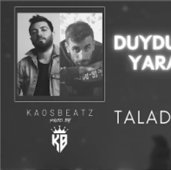 Duydum ki Bensiz Yaralı Gibisin-cover