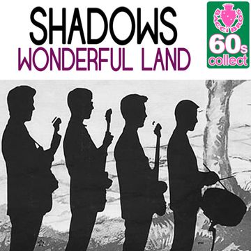 Wonderful Land-cover