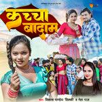 Kacha Badam-cover