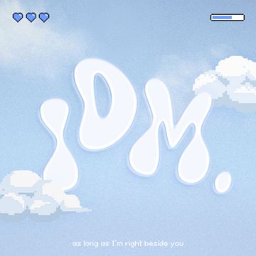 idm.-cover