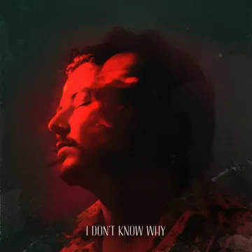 I don't know why-cover