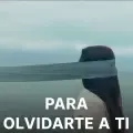 Para Olvidarte A Ti-cover