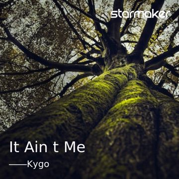 It Ain't Me-cover